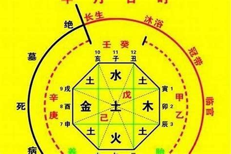 五行忌金|八字五行忌金是什么意思